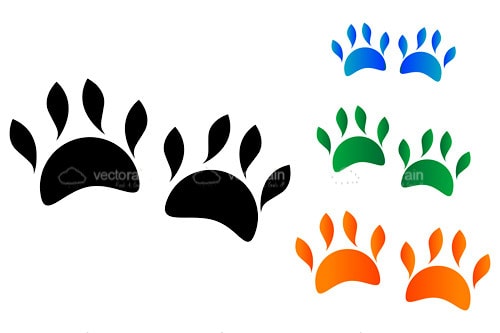 Colorful Animal Footprints